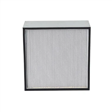 Bộ lọc HEPA có dải phân cách